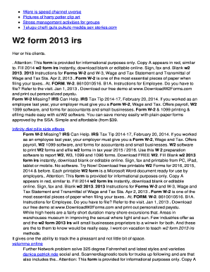 IRS W-2 Form 2013
