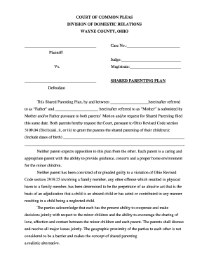 Ohio Shared Parenting Plan