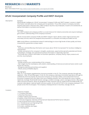 Example of business profile - BAFLACb Incorporated Company Profile and SWOT Analysis