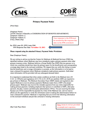 Primary Payment Notice