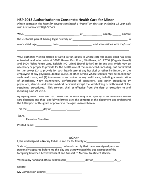 Health Care Consent for Minor