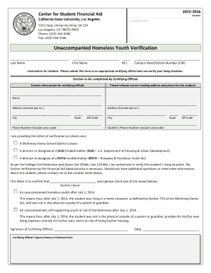 Unaccompanied Homeless Youth Verification Form