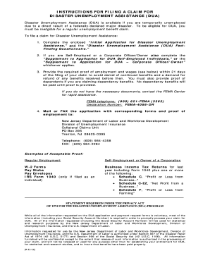 Disaster Unemployment Assistance Application