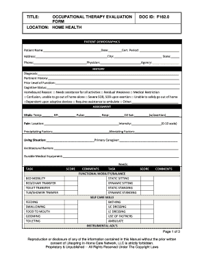 Occupational Therapy Evaluation Form