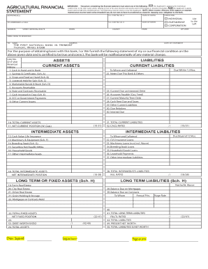 Agricultural Financial Statement