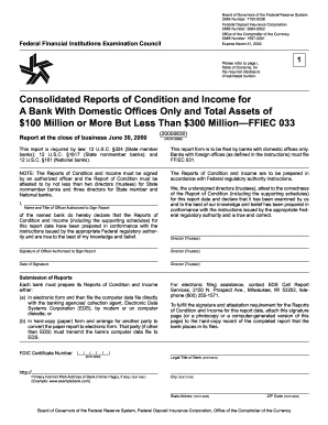 FFIEC 033 Consolidated Reports of Condition and Income