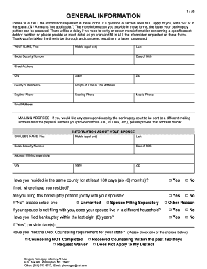 Bankruptcy Petition Form