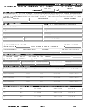 Business Credit Application
