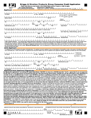 Briggs & Stratton Consumer Credit Application