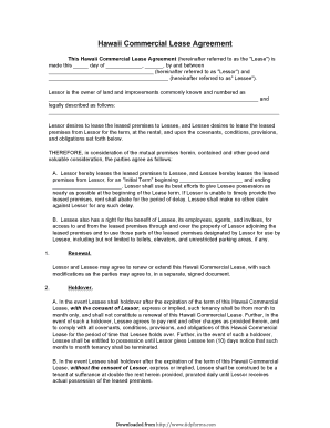 Hawaii Commercial Lease Agreement