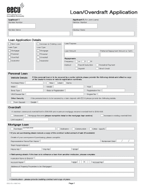 Loan/Overdraft Application Form