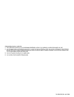 Massachusetts Substitute W-9 Form