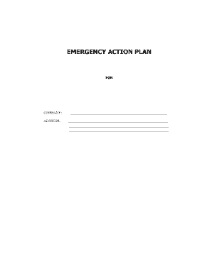 Emergency Action Plan Template