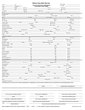Bail Bond Application and Agreement