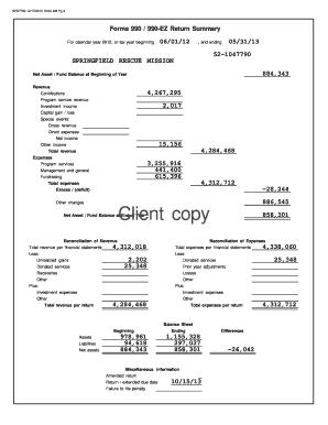 IRS Form 990-EZ Return Summary