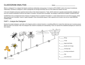 Cladogram Analysis Worksheet