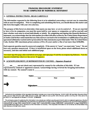 Financial Disclosure Statement for Individual Defendant