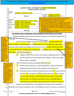Statement Why Temporary Writ Should Not Issue