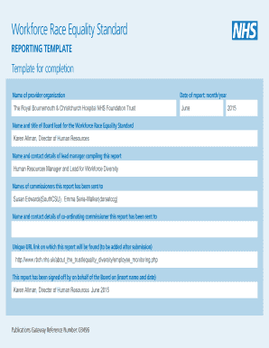 Workforce Race Equality Standard Reporting Template