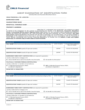 Agent Examination of Identification Form