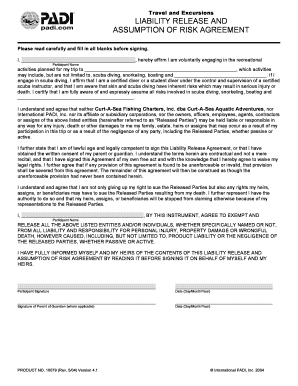 Travel Liability Release Agreement