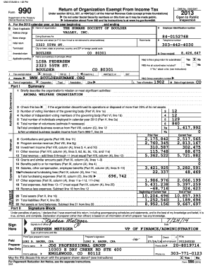 Form 990 2013