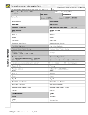 Form preview picture