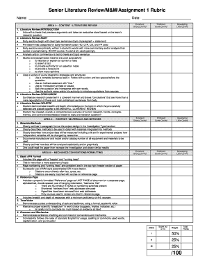 Senior Literature Review Rubric