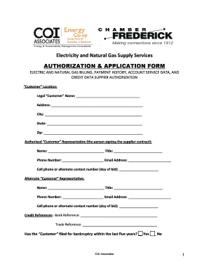 Electricity and Natural Gas Supply Services Authorization Form