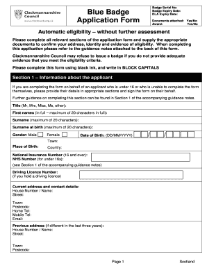 Blue Badge Application Form