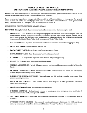 Special District Reporting Form