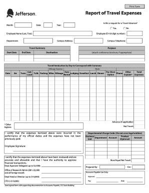 Travel Expense Report