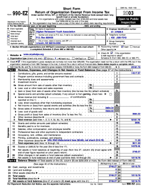 Form 990-EZ 2003