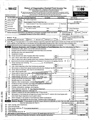 Form 990-EZ 2009