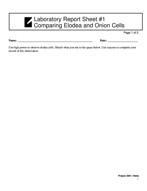 Laboratory Report Sheet