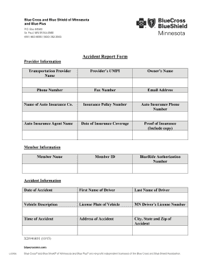Accident Report Form