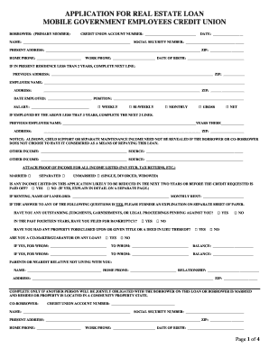 Real Estate Loan Application