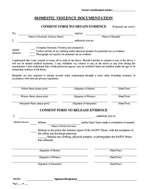 Domestic Violence Evidence Consent Form