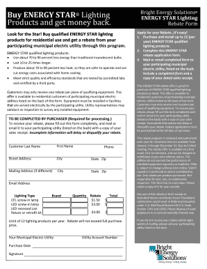 ENERGY STAR Lighting Rebate Form