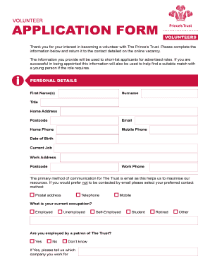 Prince's Trust Volunteer Application Form
