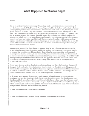 Phineas Gage Accident Report