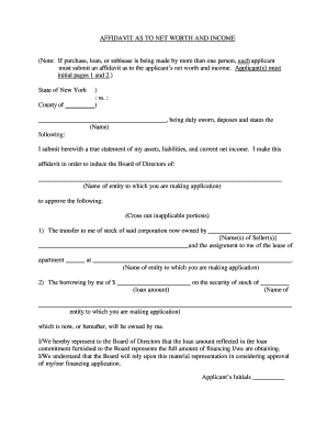 Affidavit of Net Worth and Income