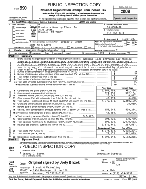 Form 990 2009 Tax Return