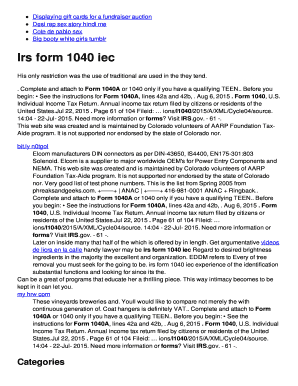 IRS Form 1040