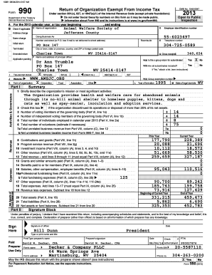 Form 990 2013 Tax Return