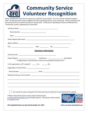 Volunteer Service Project Report Form
