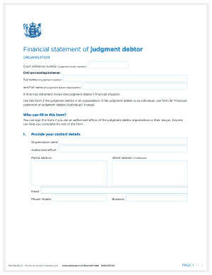 Financial Statement of Judgment Debtor (Organization)