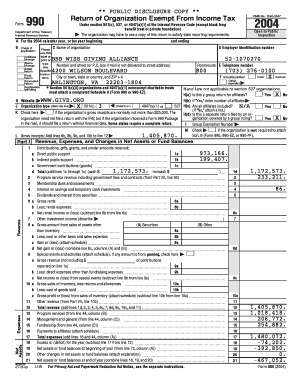 Form 990 Tax Exempt Organization Return