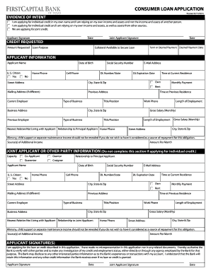 Consumer Loan Application Form