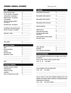 Personal Financial Statement Form